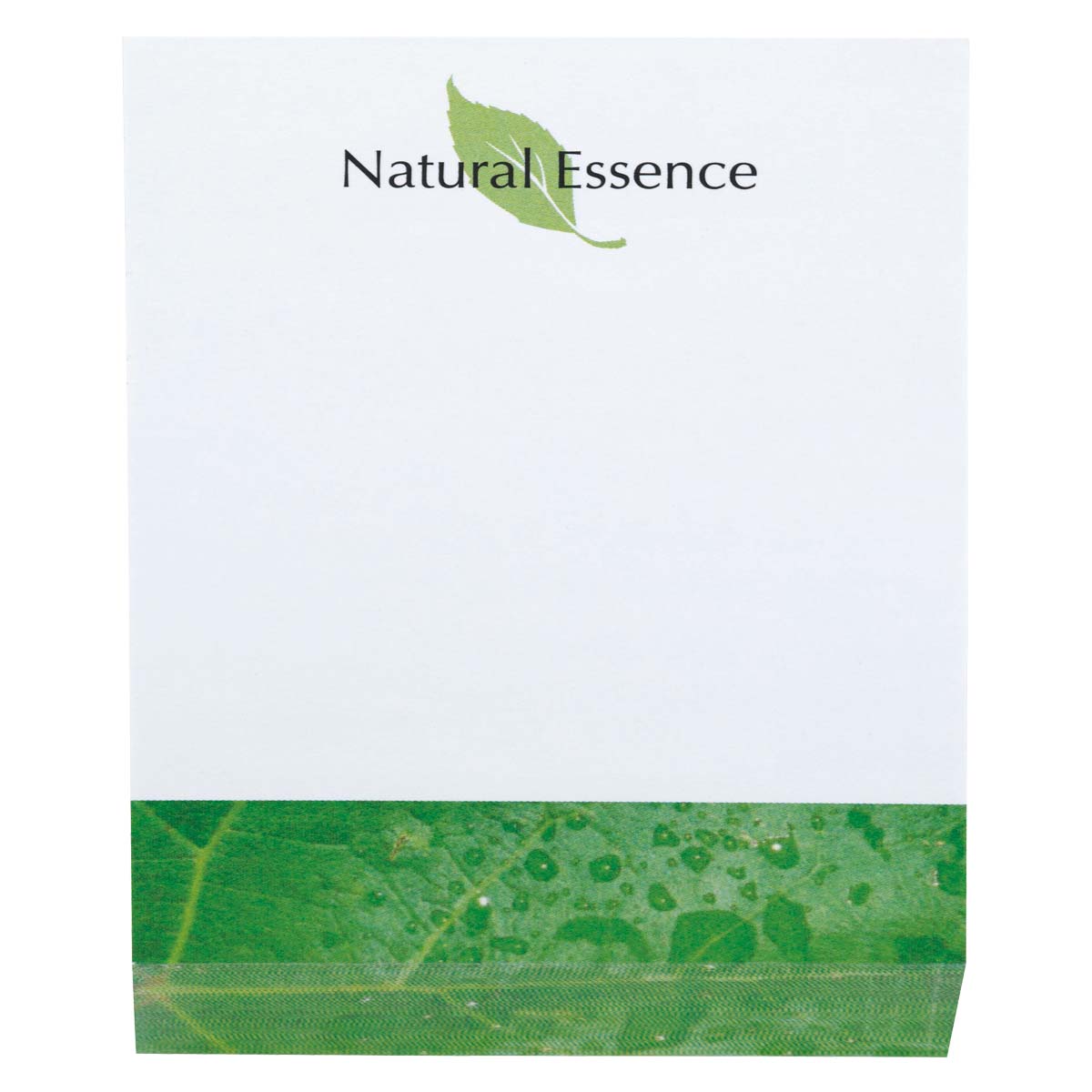 KOOZIE SOUVENIR STICKY NOTE BEVELED PAD (4" x 6")