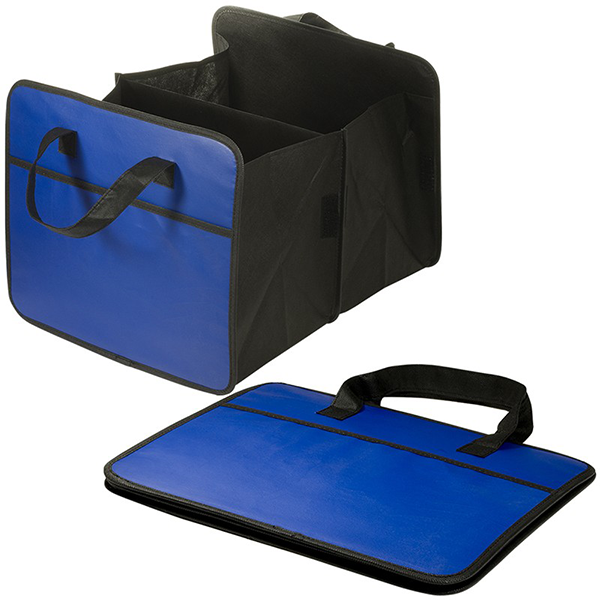 EXPANDABLE AUTO ORGANIZER