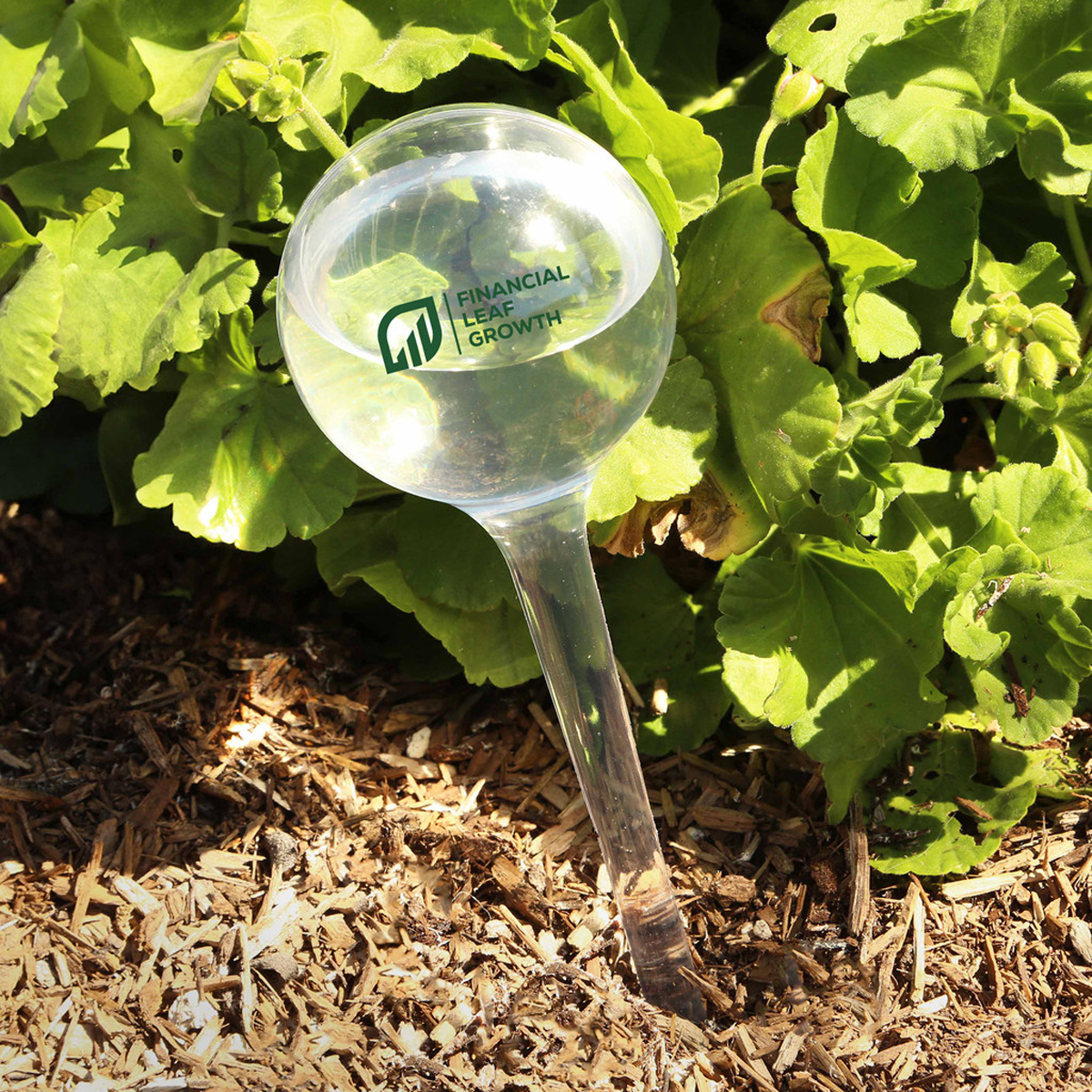 EVERGREEN SELF-WATERING GLOBE
