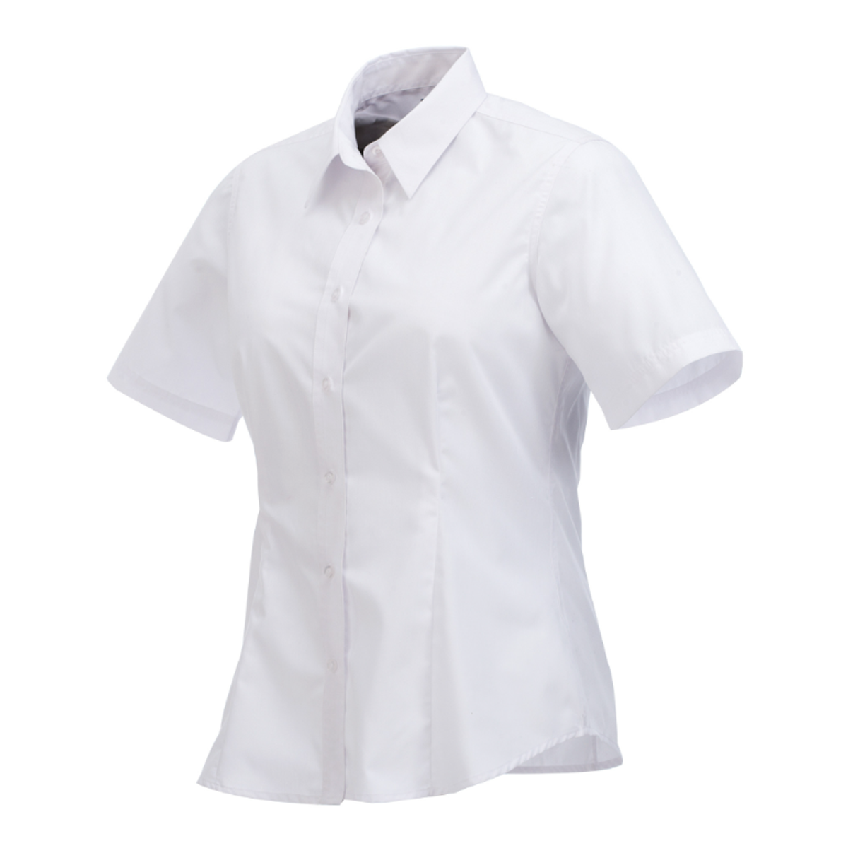 ELEVATE LADIES COLTER SHORT SLEEVE DRESS SHIRT